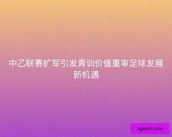 中乙联赛扩军引发青训价值重审足球发展新机遇